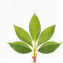 Ernährungsberatung Online Logo